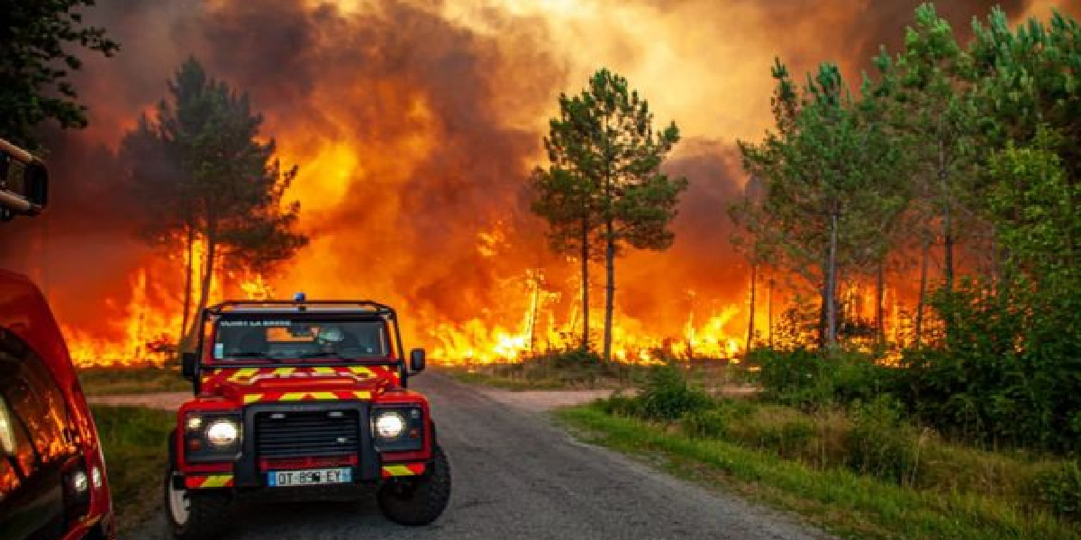 Avrupa'da orman yangınları
