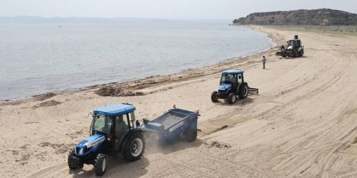 Ayvalık Temizlik Çaışmaları Devam Ediyor