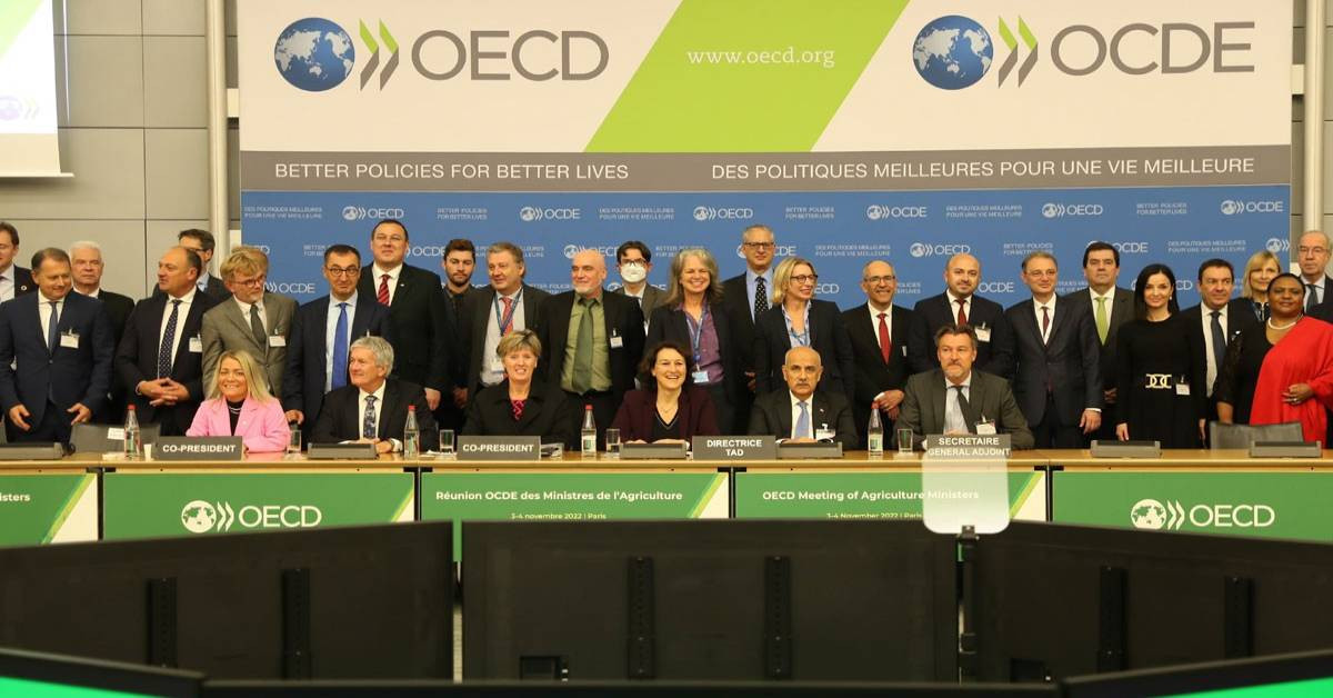 Bakan Kirişçi OECD Açıklaması