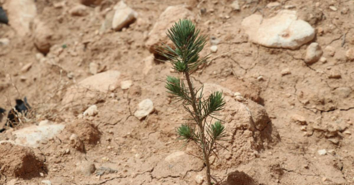 Bakan Kurum Erozyon Uyarısı