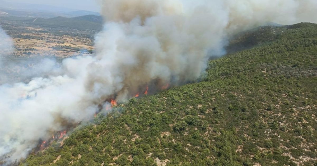 Bodrum’da orman yangını paniği: Ekipler yayılan alevlere müdahale ediyor