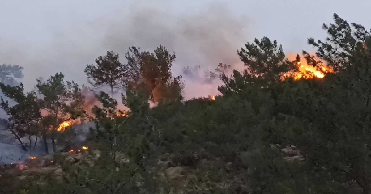 Bodrum'da yangın