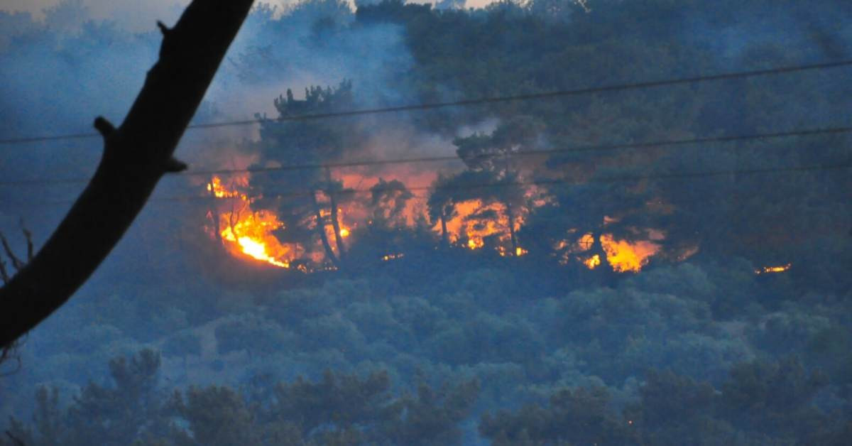 Çanakkale İzmir Antalya orman yangını