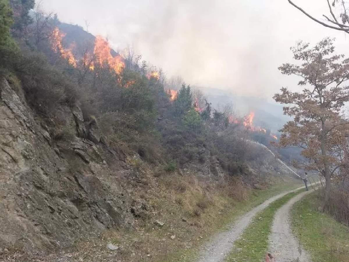 Çanakkale, İzmir, Bursa ve Bilecik orman yangını