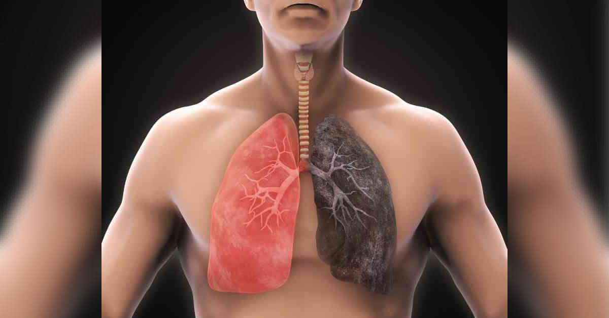 Ceviz içi kabuğu akciğere faydası