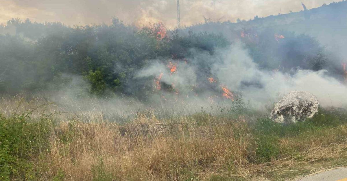 Denizli’de yangın 21 saattir devam ediyordu: Bakan Yumaklı yangının kontrol altına alındığını duyurdu