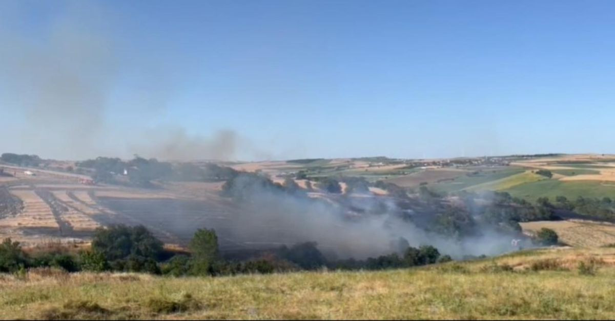 Diyarbakır ve Mardin yangınları ders olmadı: Tekirdağ’da da anız yangını meydana geldi! 50 dönüm ekili buğday küle döndü