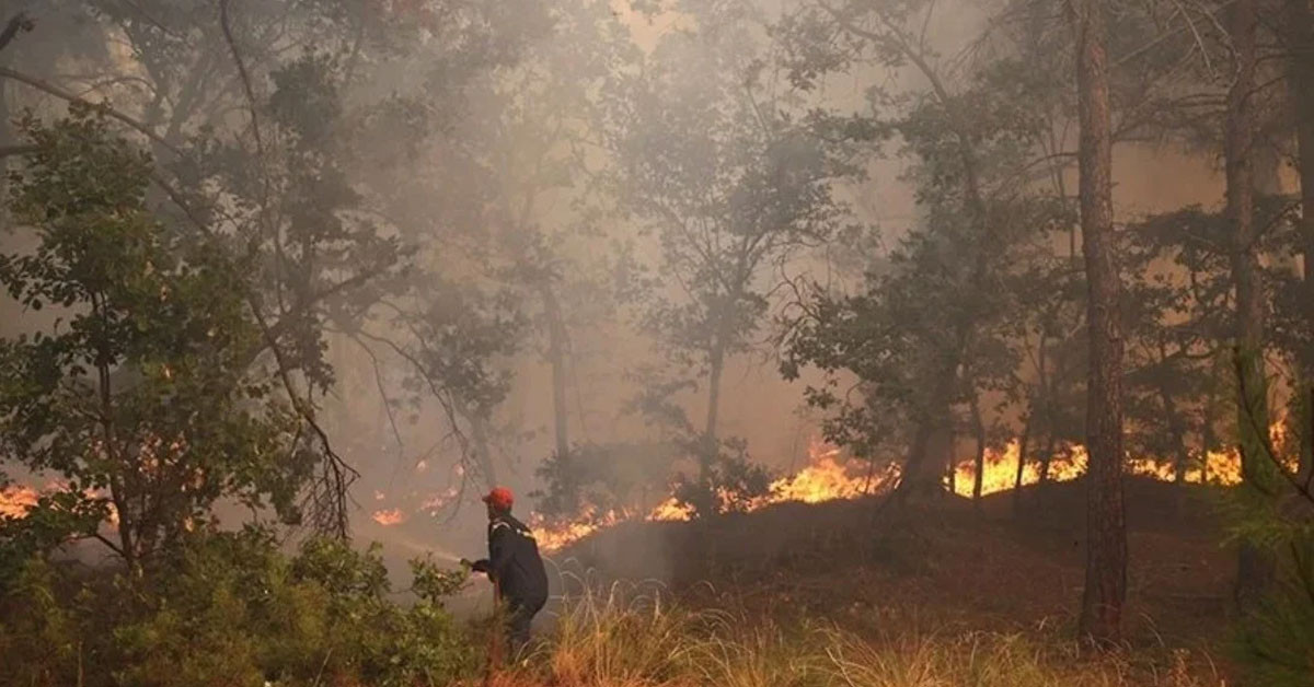 Dün Yunanistan’ın Katerin kentindeki ormanlık alanda yangın çıktı. Büyük uğraşılar sonucu halen yangın söndürülemediği öğrenildi.
