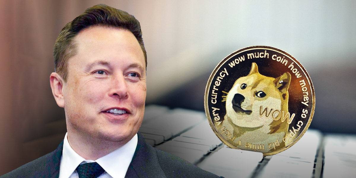 ELON Coin Nedir