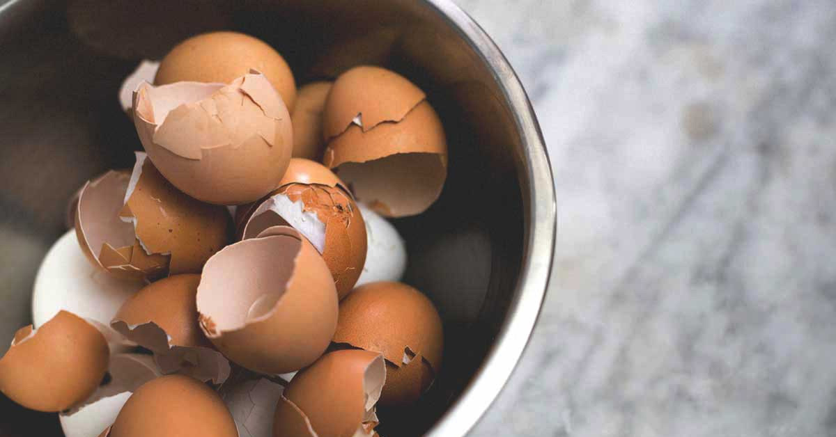 Kaynamış yumurtanın faydaları