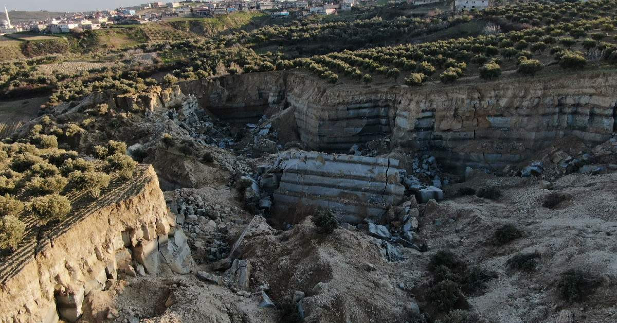 Hatay Deprem Zeytin Tarlası-1