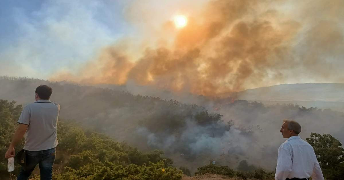 Hatay Muğla Orman yangın