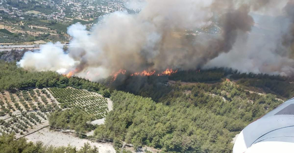 Hatay Valiliği Ormanlara Girişi Yasakladı