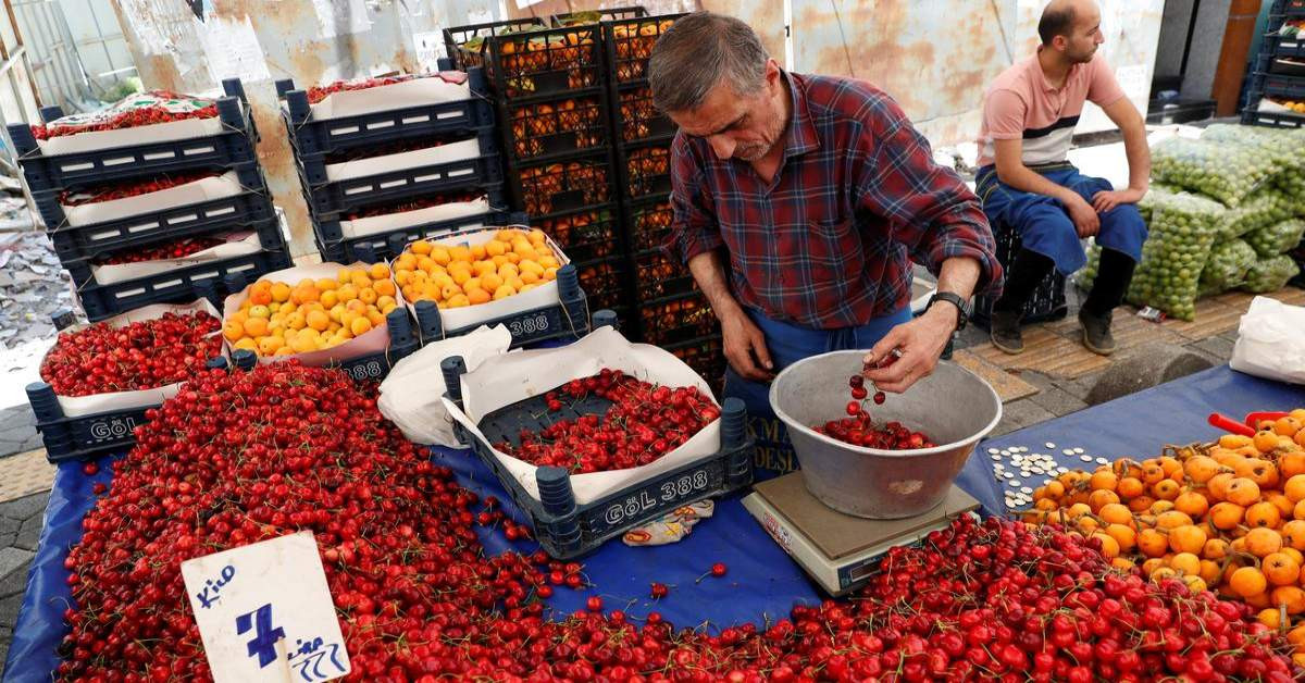 IMF Türkiye Ekonomik Büyüme-2