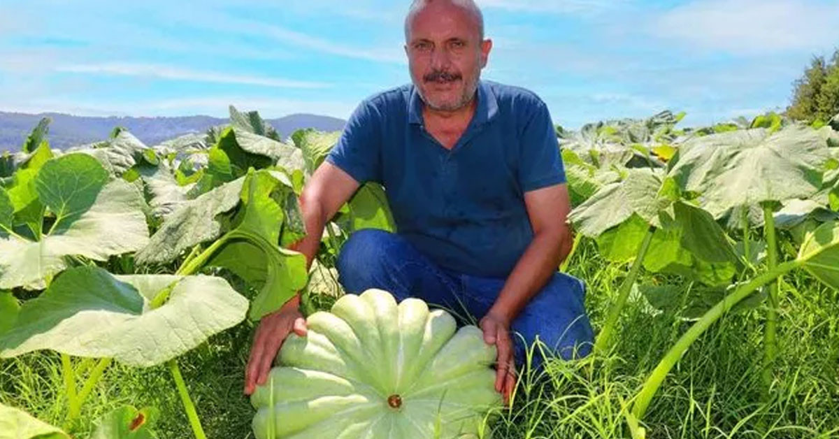 Kabak ekti 250 bin tl gelir elde etti