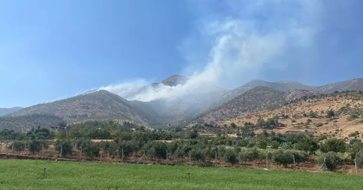 Kahramanmaraş orman yangını