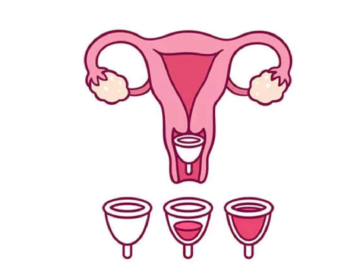 Menstrual kap nasıl kullanılır
