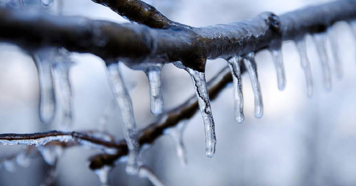 Meteoroloji Son Dakika