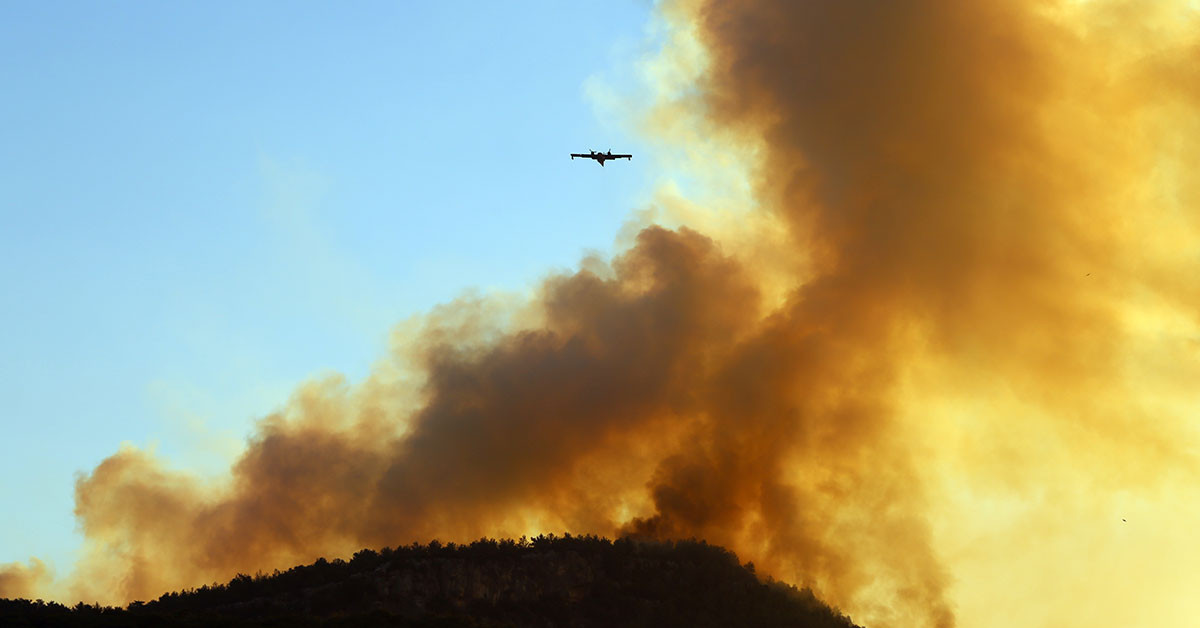 Muğla Urla da yangın son durum