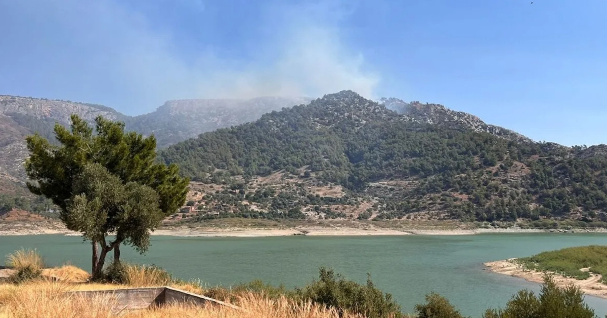 Muğla’da orman yangını: Hava ve karadan yoğun müdahale ediliyor