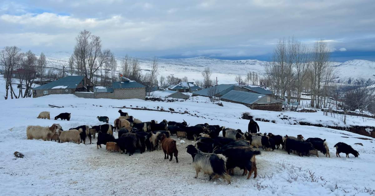 Muş Yukarıyongalı köyü