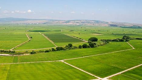 Nisan ayında arsa almayan kalmayacak! KDV’DEN MUAF 3 ilde arazi ve arsa satılıyor