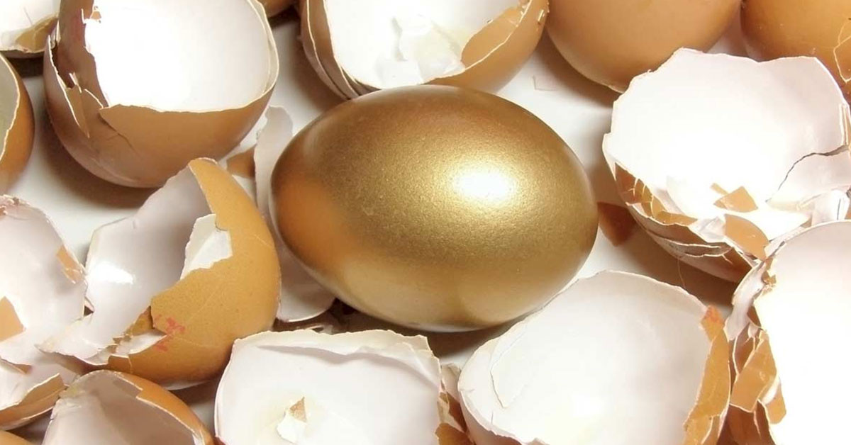 yumurta kabuğunun faydaları