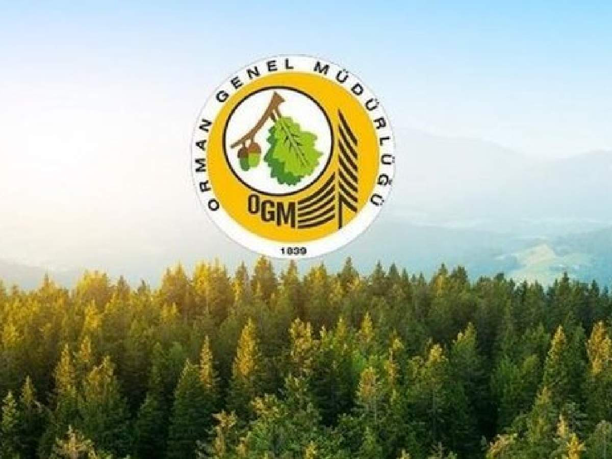 OGM işçi alımı başvuru şartları