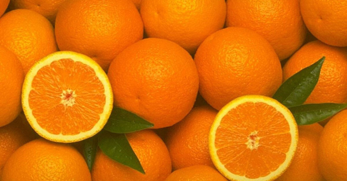 portakal faydası