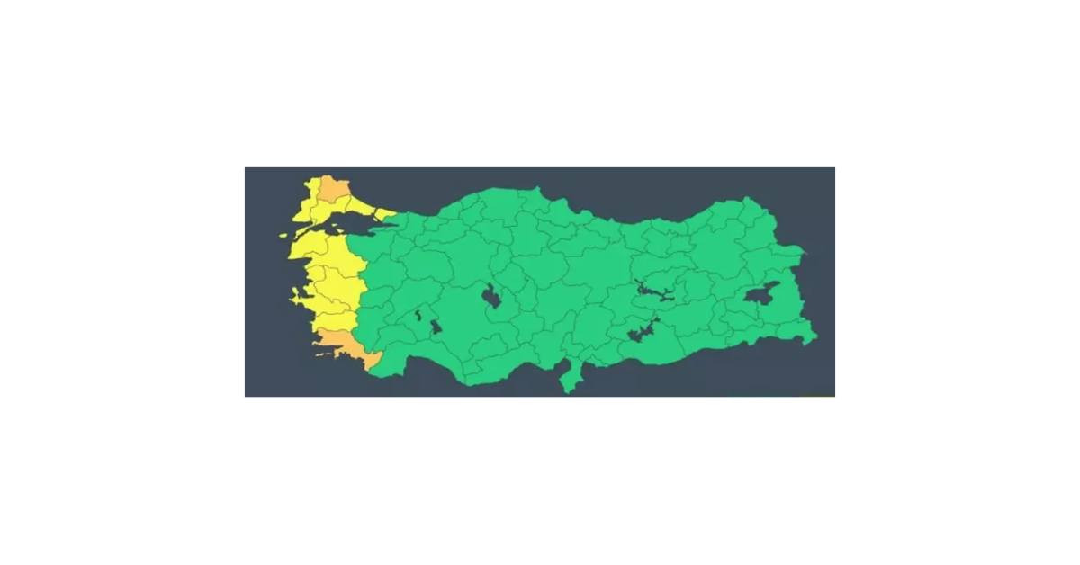 Sarı Kod