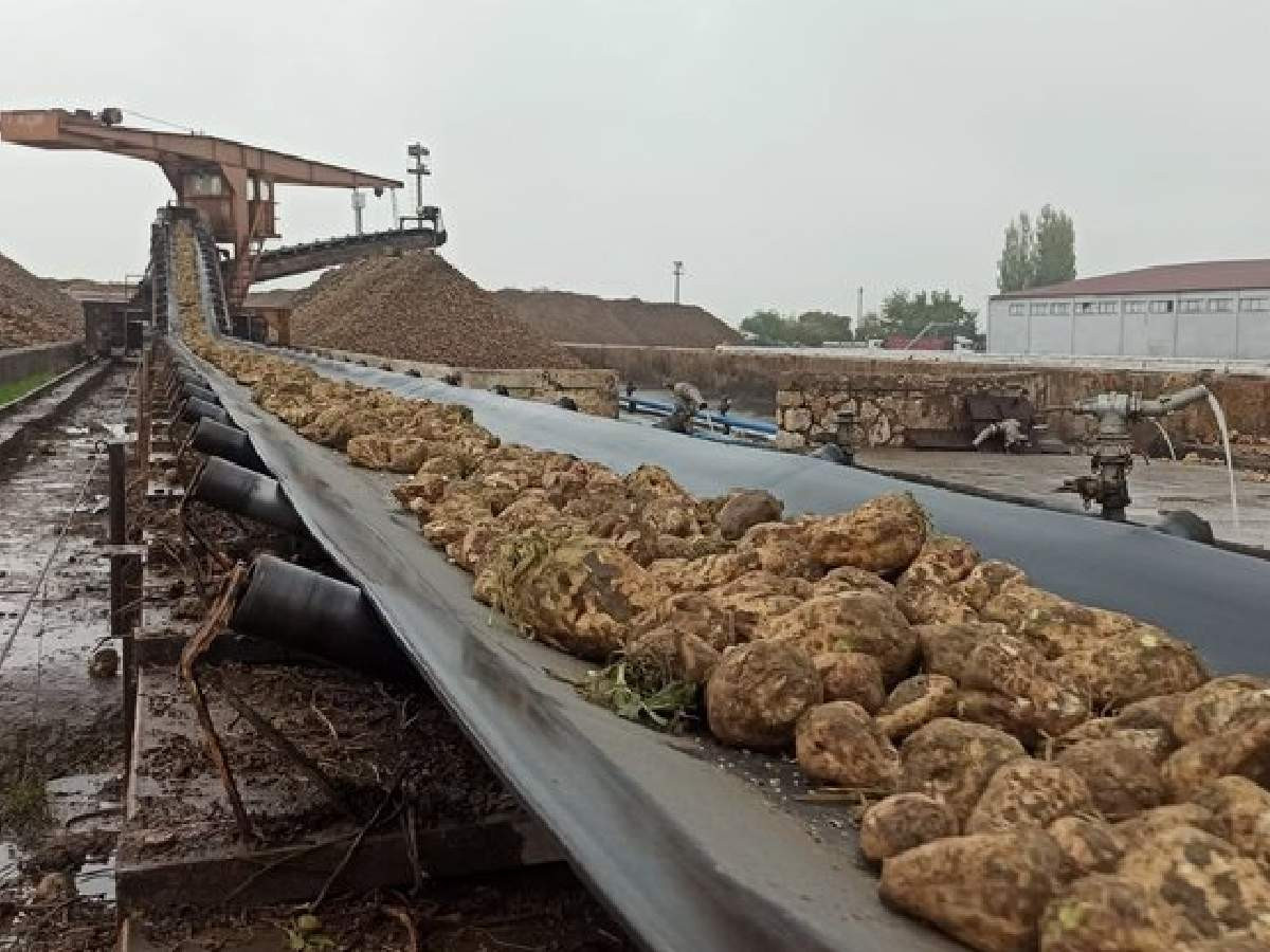 Şeker kotası nedir, neden var?