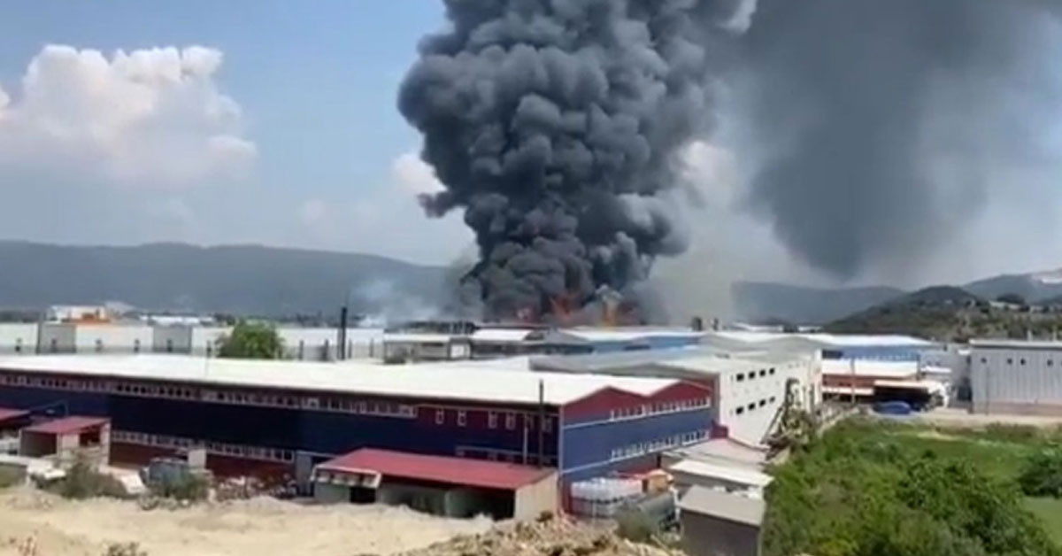 Son dakika: Bursa'da ısı yalıtım üretimi fabrikasında yangın!