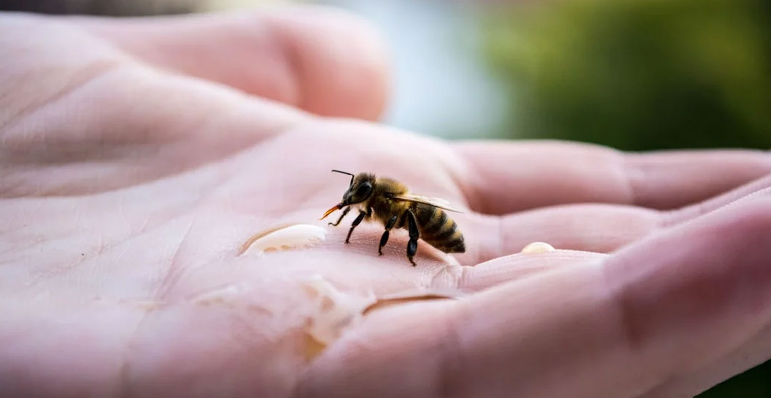 arı sokmasının faydaları