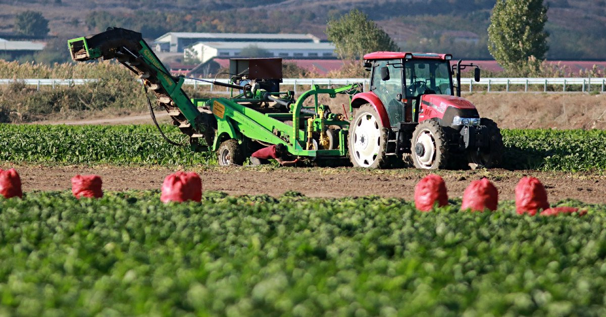 Tarıma planlı destek uygulanacak: Yeni model hayata geçti