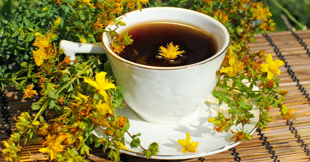 Sarı kantaron çayının faydaları