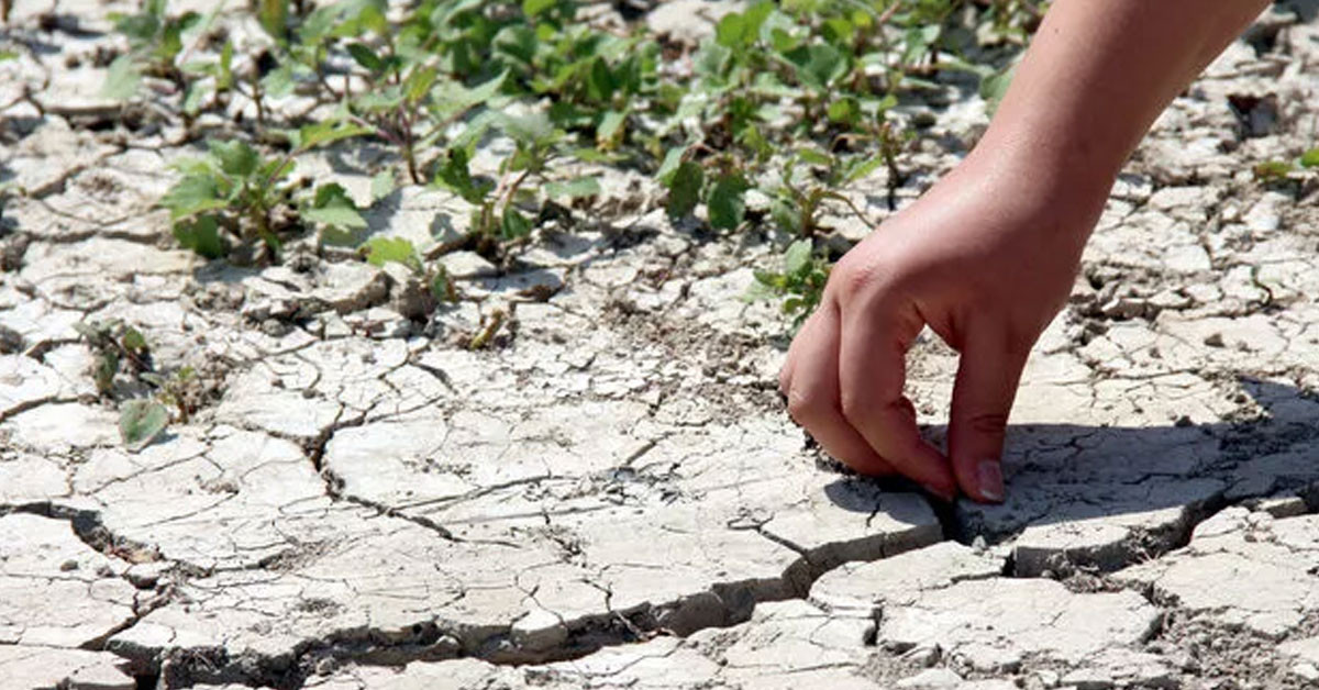 Uzman isimden uyarı geldi: Barajlardaki doluluğa inanmayın, kurak bir yaz geliyor!