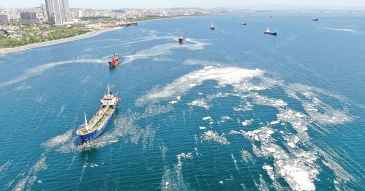 Bilim-2 Gemisi Marmara'da Gezilmedik Yer Bırakmadı! İşte İstanbul Boğaz'daki En Pis 5 Bölgehjgjhg