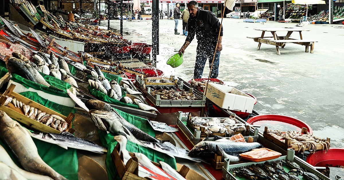 İstanbul'da balık sezonu başladı