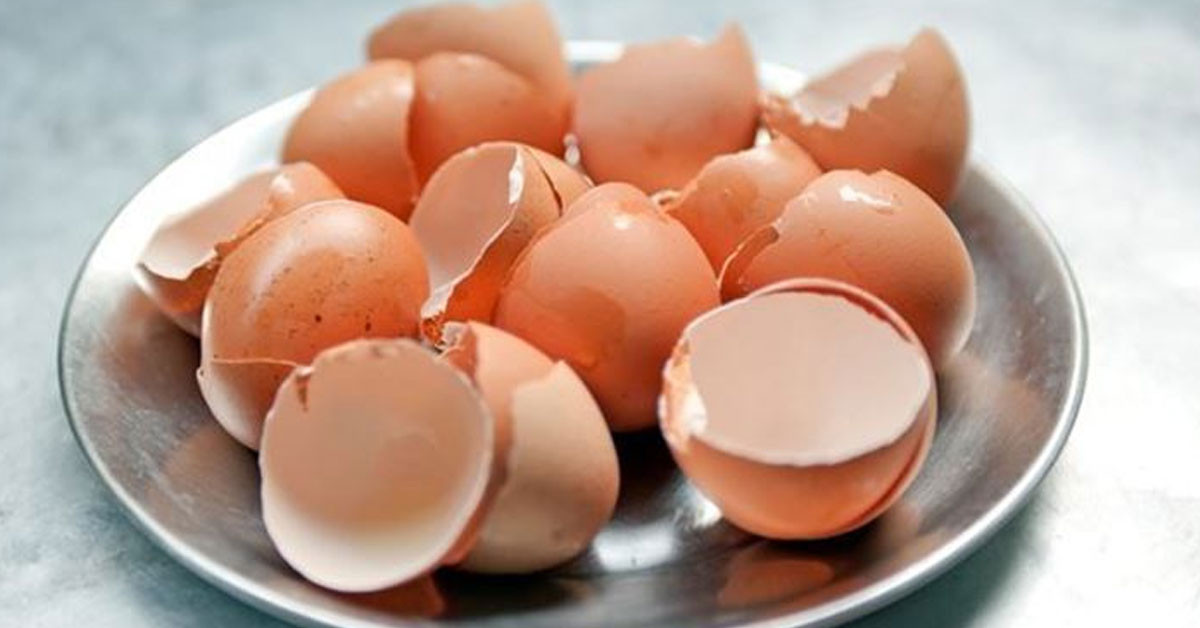 Yumurta kabuğunun bilinmeyen faydaları