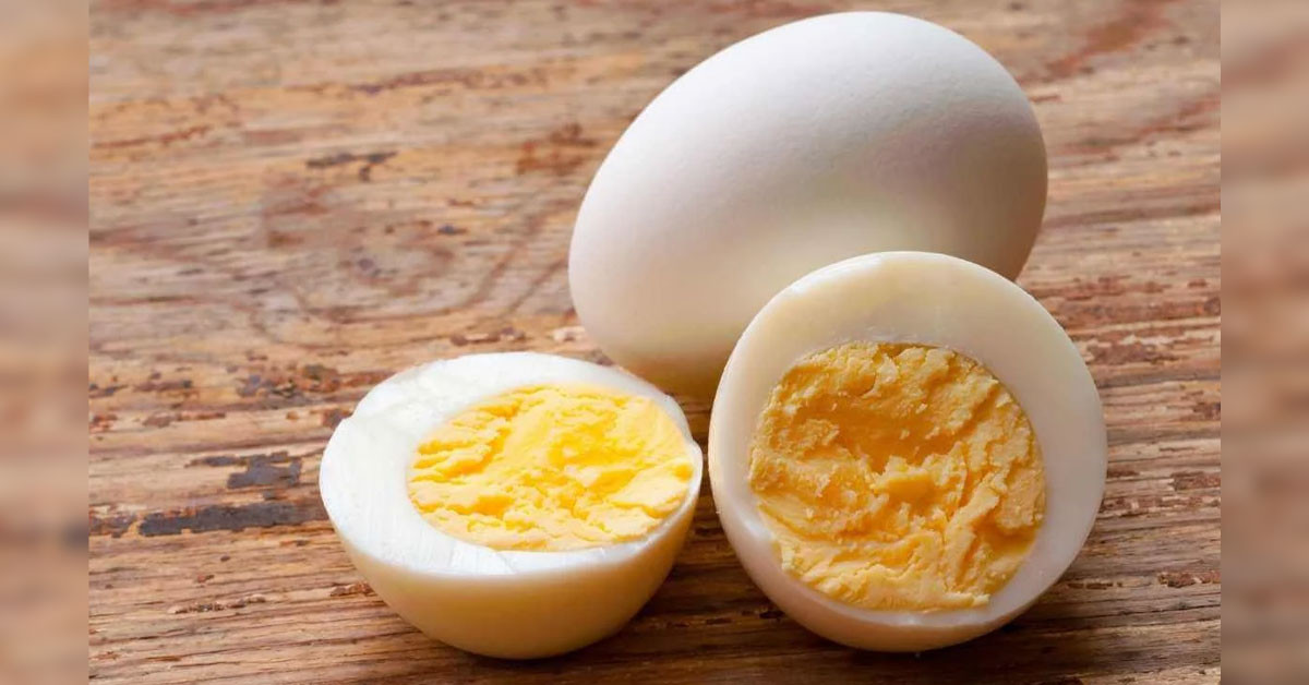Yumurtanın faydaları nelerdir