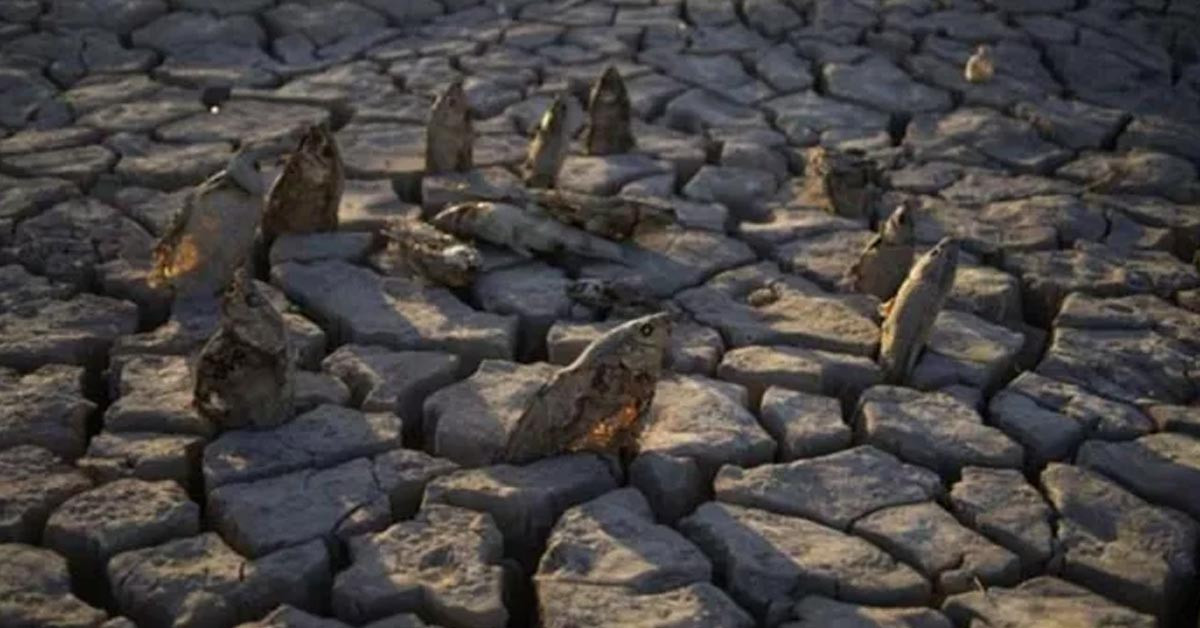 Yüzde 35'e gerilemiş durumda