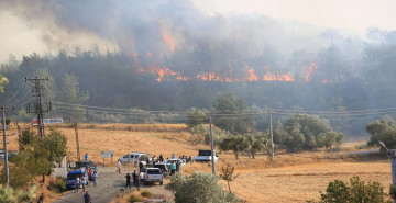 Ciğerlerimiz yanmaya devam ediyor: Bu kez Milas’ta orman yangını