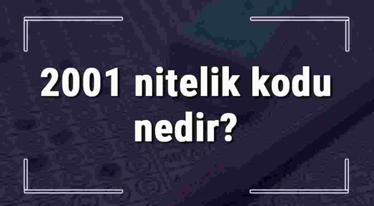 2001 Nitelikli kod