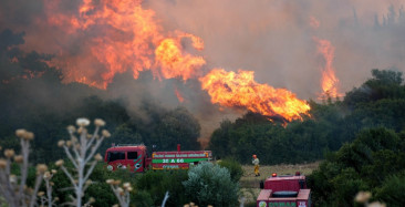 Bakanlıktan açıklama geldi: 4 ilde orman yangınları kontrol altında