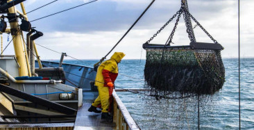 Balıkçılık Teknolojisi Mühendisliği DGS 2022 taban puanları ve bölüm kontenjanları