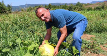 25 yıllık kariyerini bırakıp tarıma başladı: 250 bin TL geliri var