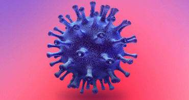 8 Şubat Koronavirüs Tablosunda Dikkat Çeken Ayrıntı