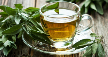 Ada çayının faydaları nelerdir, nasıl demlenir? Ada çayı nelere iyi gelir? En sağlıklı ada çayı tüketimi için öneriler
