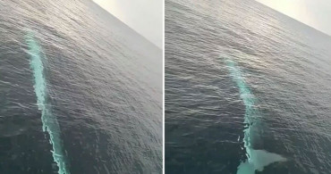 Adana'da Balıkçı Teknesinin Yanından 15 Metrelik Balina Geçti