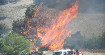Adana'da korkutan orman yangını! Ekipler havadan ve karadan müdahale ediyor